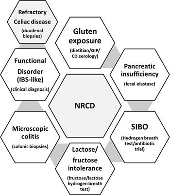 Toward New Paradigms in the Follow Up of Adult Patients With Celiac Disease on a Gluten-Free Diet